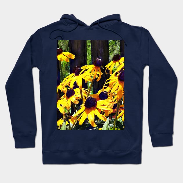 Black Eyed Susans by Fence Hoodie by SusanSavad